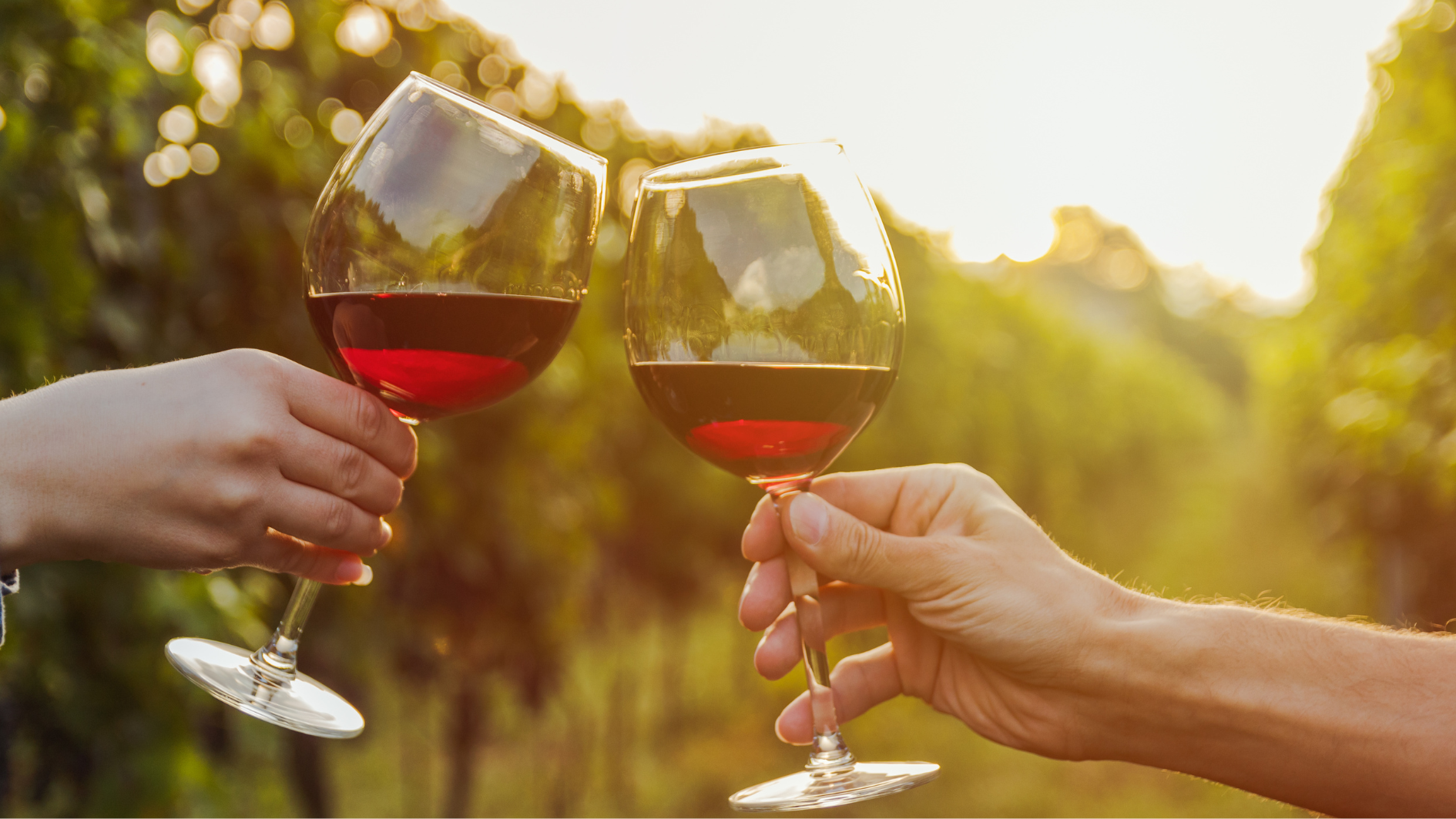 A Toast to Texas: Wine Tasting at Eden Hill Vineyard