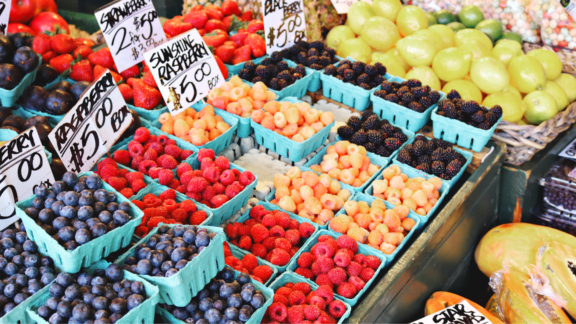 Support Local This Fall: Celina Businesses Worth Visiting
